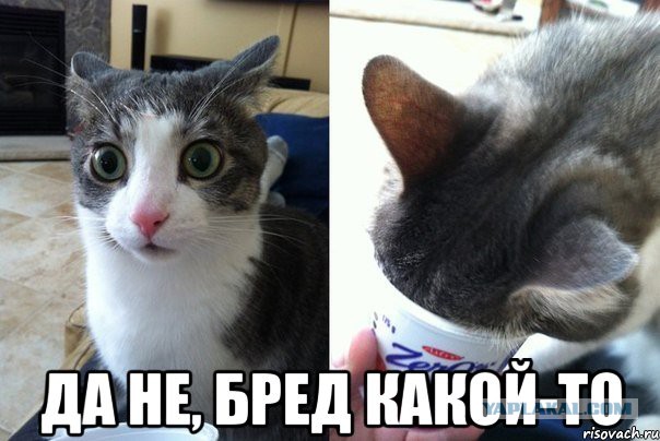 Из уст простого немца