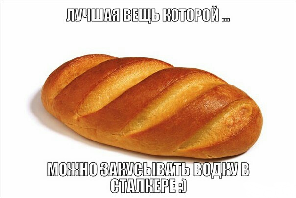 Фанатам игры С.Т.А.Л.К.Е.Р посвящается
