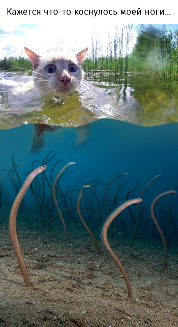 Подборка прикольных фото