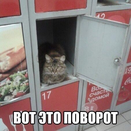 Спасибо что помог