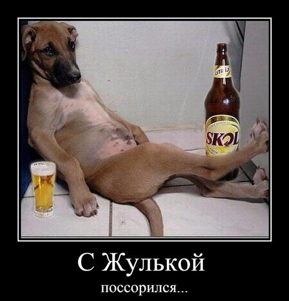 Мохнатые беспредельщики