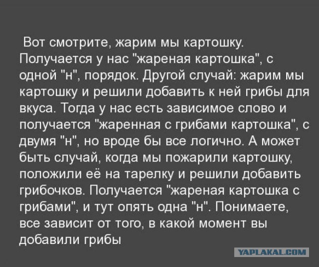 В Щучинском районе (Беларусь) семья за один день собрала около 200 кг грибов