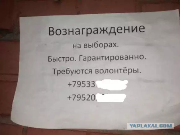 Я и моя семья - проголосовали