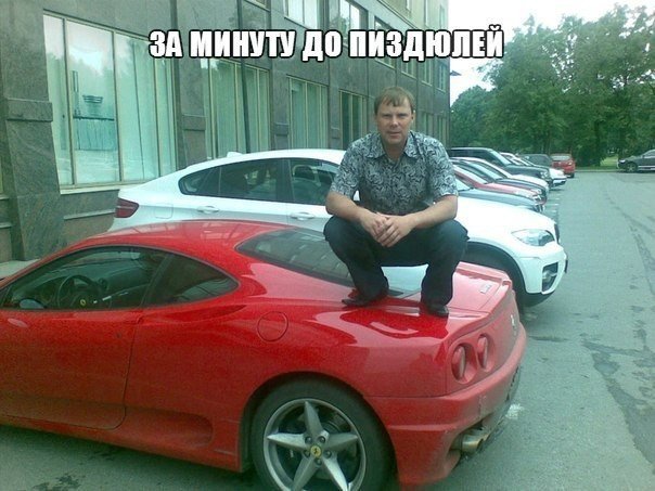 Порция картинок из сети.