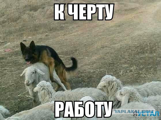 Картинки с букофками