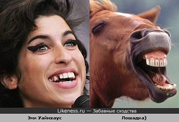 Один в один! 17 людей, животных и вещей, которые невероятно похожи друг на друга.
