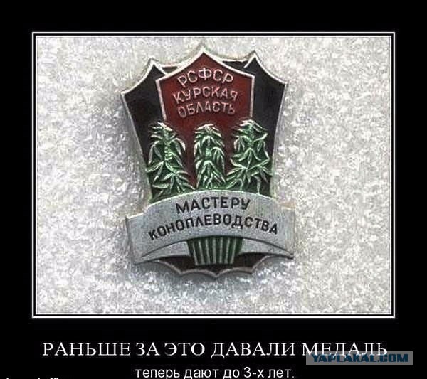 Омича оштрафовали за носки с изображением конопли