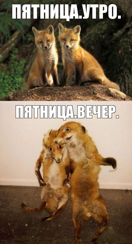 Всякого разного на пятницу!