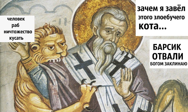 Кошкин день