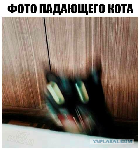 Хоккей. Межсезонье