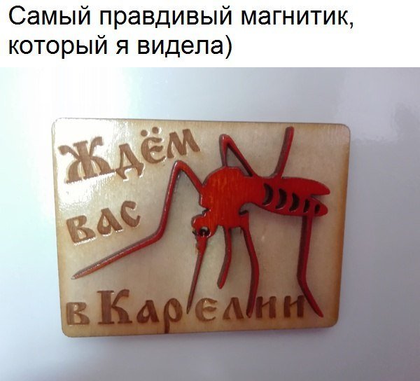 Нас всех преследует понедельничная деградация и откровенный тупёж!