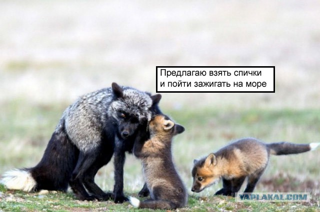 Подборка интересных и веселых картинок