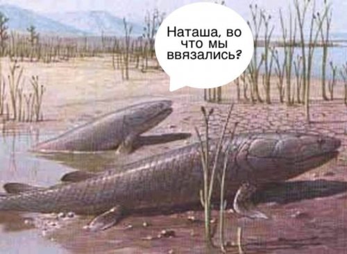 Нестандартный юмор