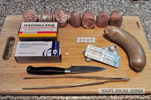 Не кормите бездомных собак!