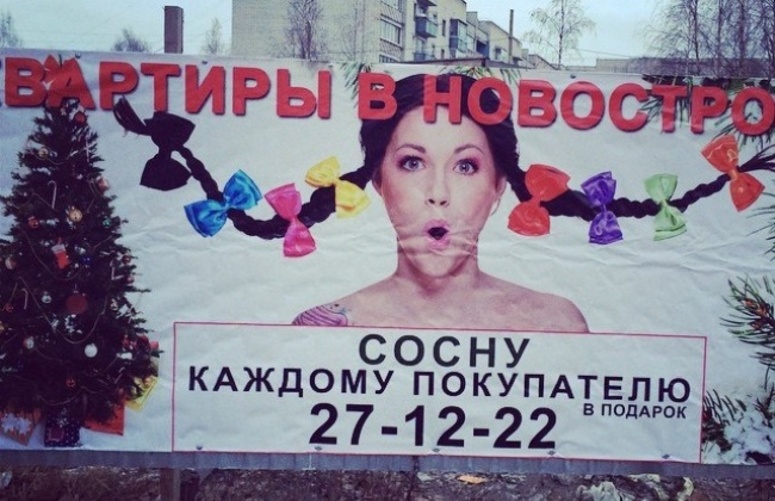 Хочешь сосну картинка