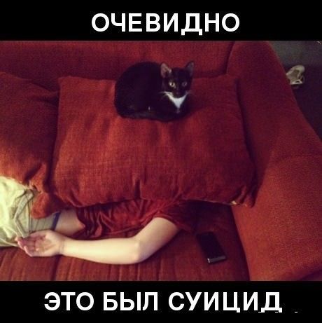 Немного картинок на среду