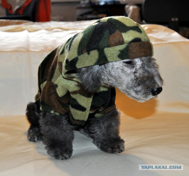 Новые устройства