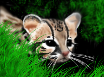 Рисованные киски