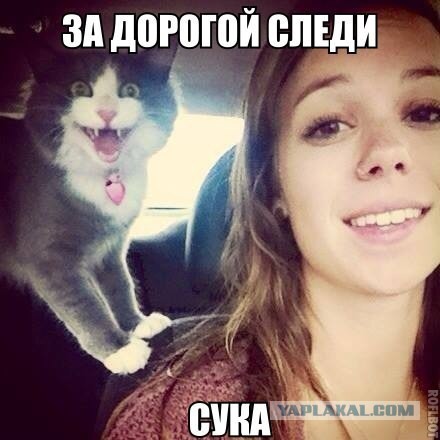 Разные по свежести картинки. Опять