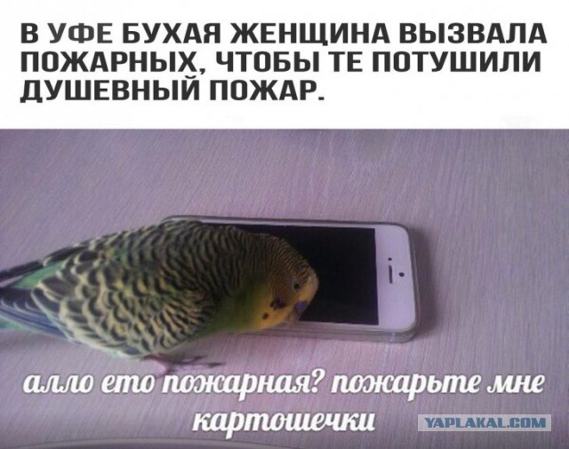 Немного картинок для настроения