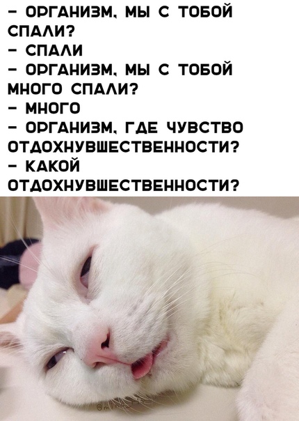Конфеты по рублю