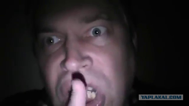 Почему не нужно от медведя прятаться на дереве