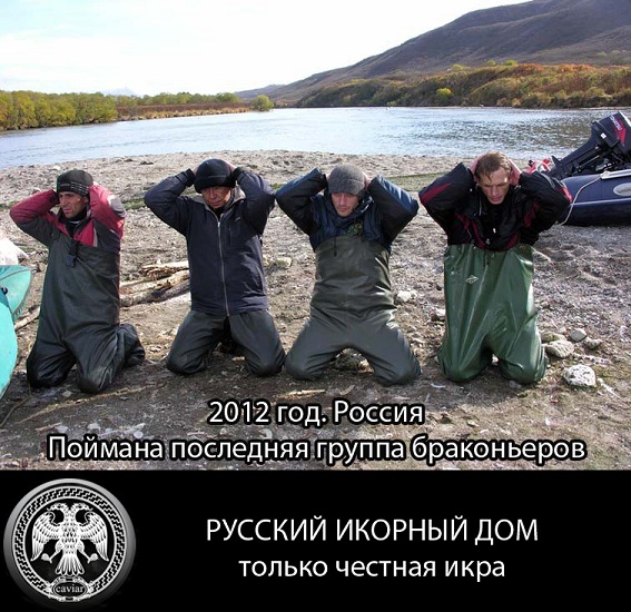 Конкурс на лучшую фотожабу против браконьеров.