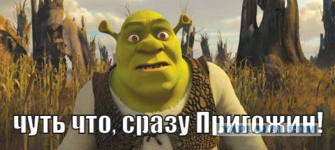 В Москве напали на Любовь Соболь