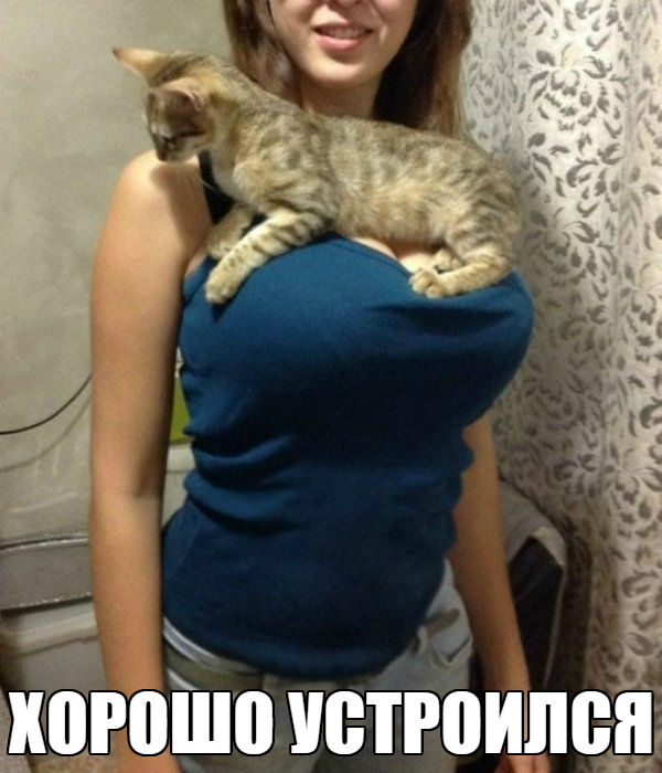 Субботняя фотоподборка