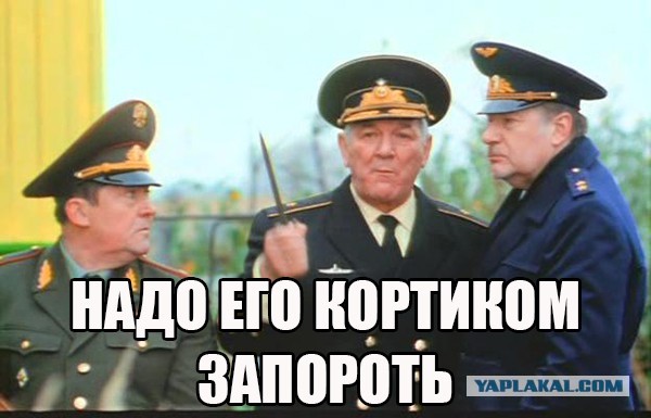 «Оборзели»: Стадо кабанов отобрало весь улов у рыбаков в Ленобласти
