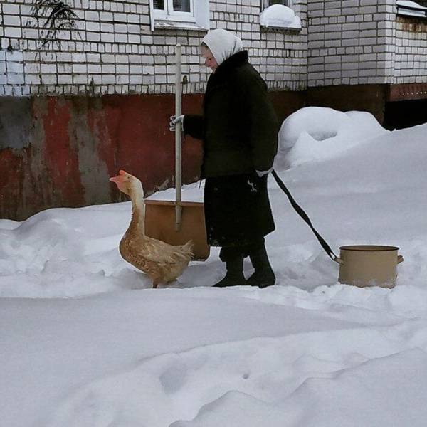 Дефицит мужчин в России: куда они деваются?