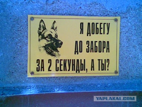 Что бы эта мега-надпись значила?