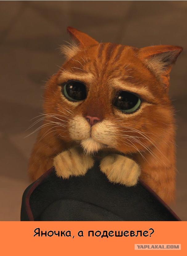 Ну какая прелесть на столбе!