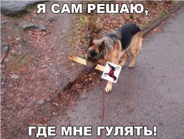 Так себе картинки 10.05.20