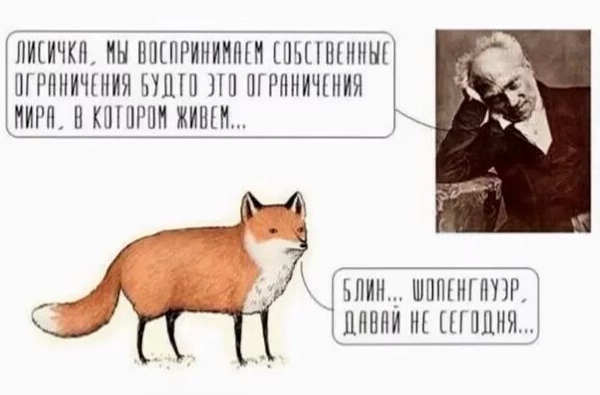 Немного картинок для настроения 28.05.20