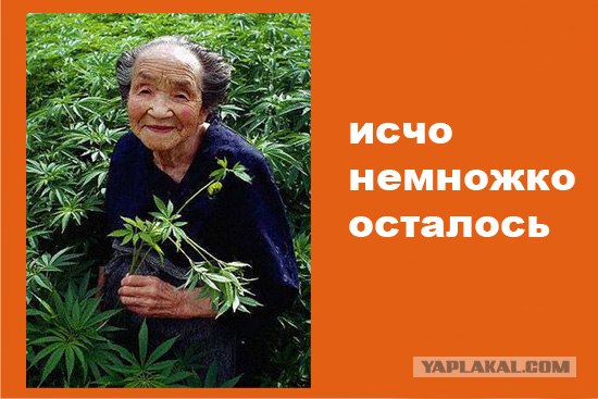 Фотожаба: осталось родить сына?
