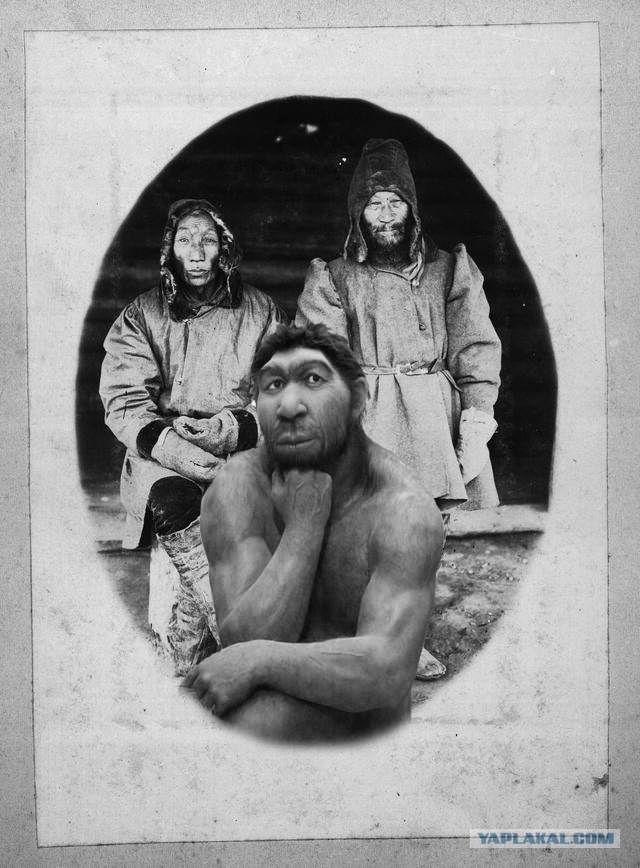 Фотожаба: Соображают на троих