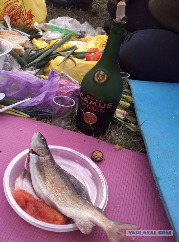 На конягах по Алтаю