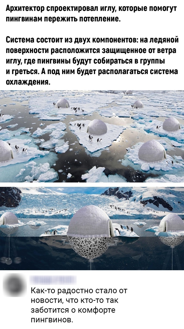 Бредзона 22.12.20