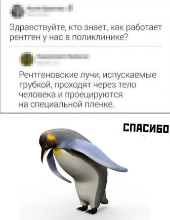 Картинки и мемы для настроения 023