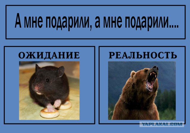 Фотожаба: Ожидание / Реальность