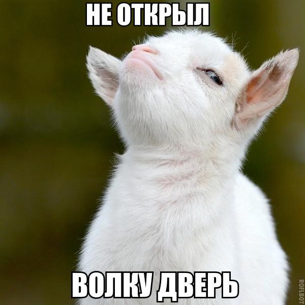 Картинки и мемы для настроения 009