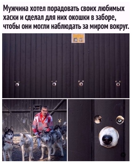 Так себе картинки 10.08.21