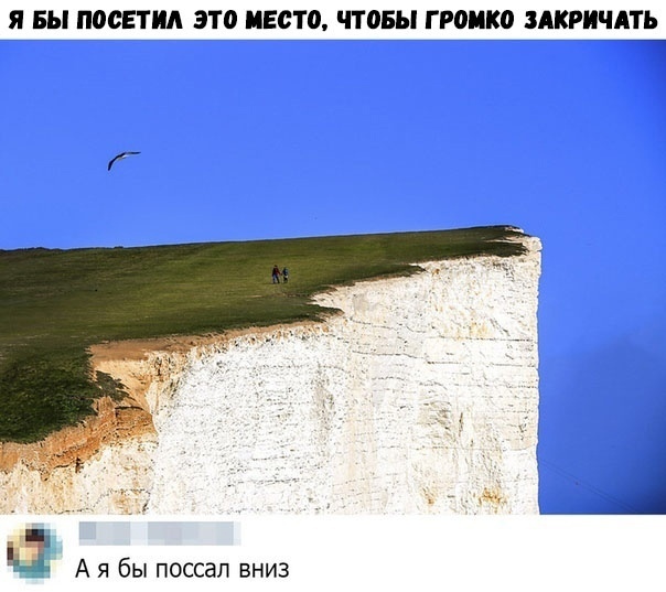 Так себе картинки 04.11.21