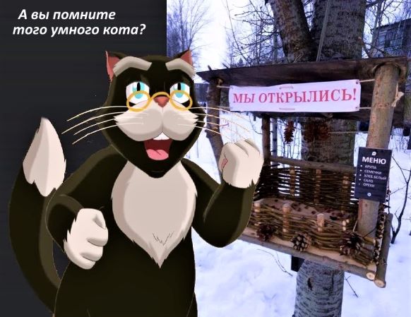 Так себе картинки 12.11.21