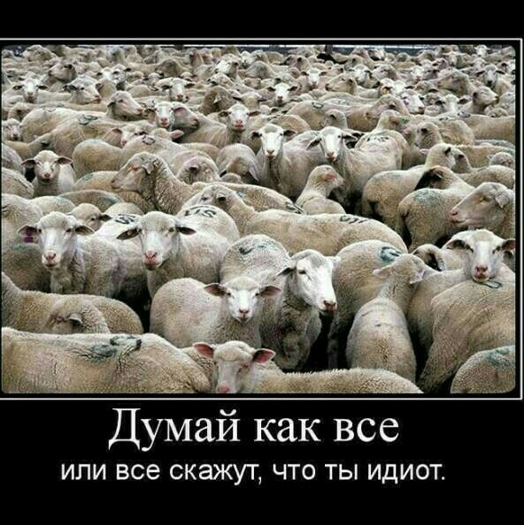 Устаревший формат и скандал с Софией Ротару: Начали снимать новогодние «Голубые огоньки»