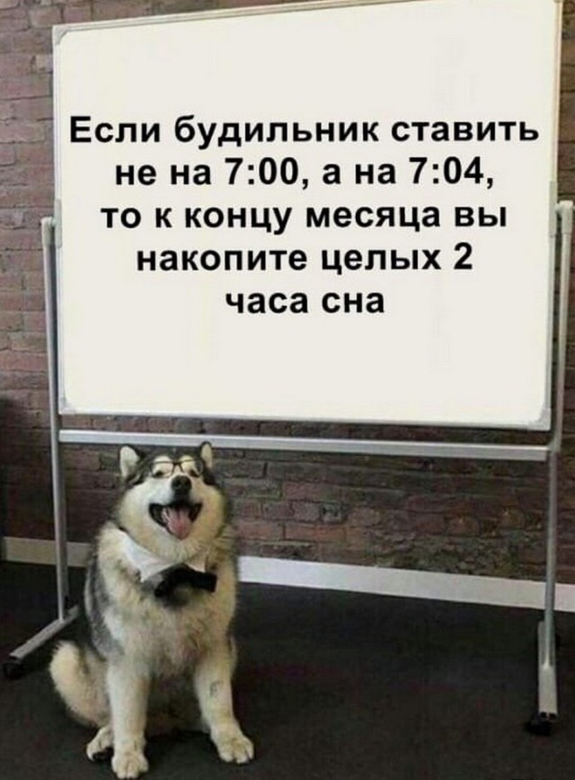 Весёлый полтишок 19.12