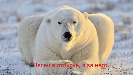 Бу-ра-ти-но! Тос-1 где-то на донбасском фронте.