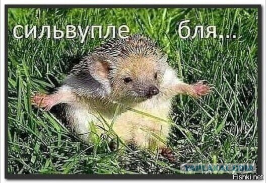 Горе-то какое!