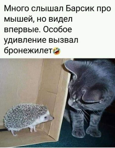 Солянка 16.03